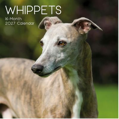 Whippets 2027 Wall Calendar