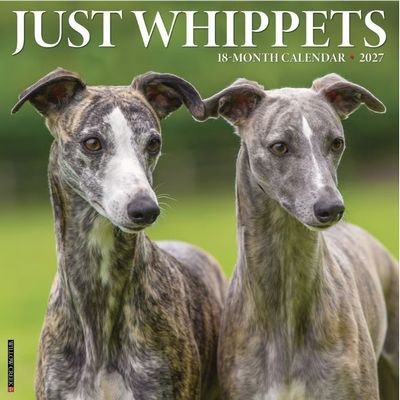 Whippets 2027 Wall Calendar