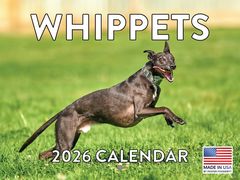 Whippets 2026 Calendar
