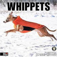 Whippets 2026 Calendar