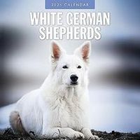 White Shepherd 2026 Calendar