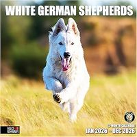 White Shepherd 2026 Calendar