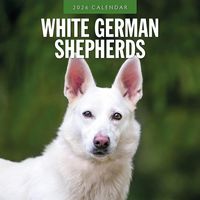 White Shepherd 2026 Calendar