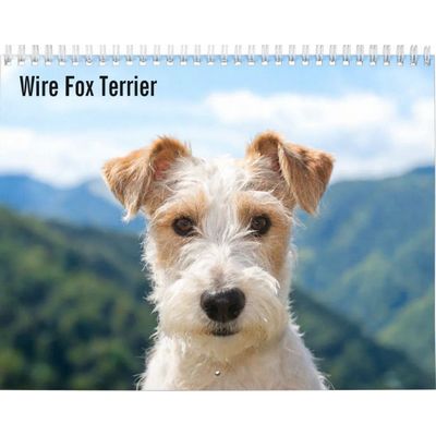 Wire Fox Terrier 2027 Wall Calendar