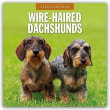 Wirehaired Dachshund Calendars