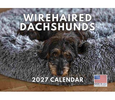 Wirehaired Dachshunds 2027 Wall Calendar