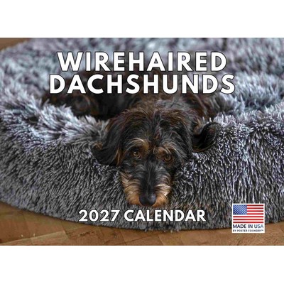 Wirehaired Dachshund 2027 Calendar