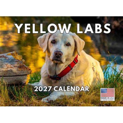 Yellow Labs 2027 Wall Calendar