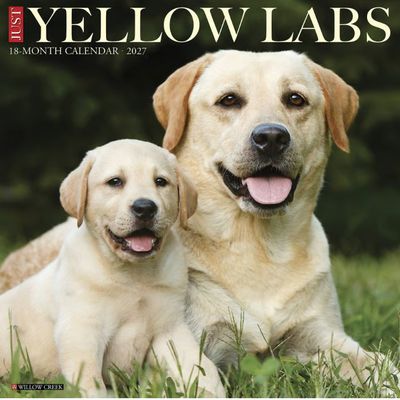 Just Yellow Labs 2027 Wall Calendar