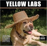 Yellow Labradors 2026 Wall Calendar