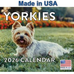 Yorkies 2026 Calendar
