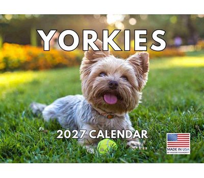 Yorkies 2027 Wall Calendar