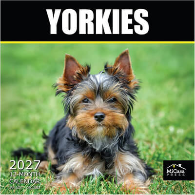 Yorkies 2027 Wall Calendar