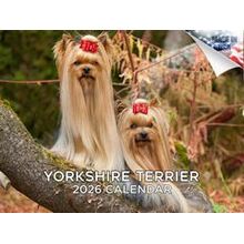 Yorkshire Terriers 2026 Calendar