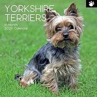 Yorkshire Terriers 2026 Calendar
