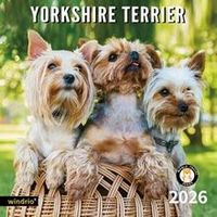 Yorkshire Terrier 2026 Calendar