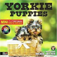 Yorkshire Terrier Puppies 2026 Calendar