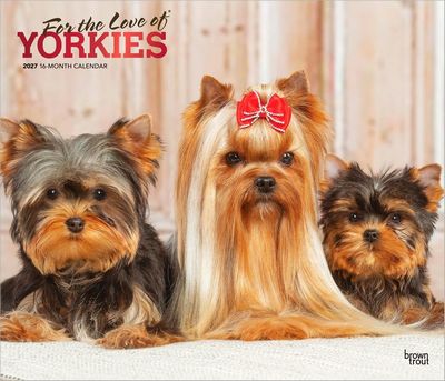 For the Love of Yorkies 2027 Wall Calendar