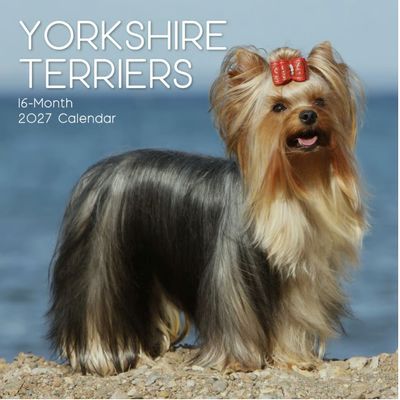 Yorkshire Terriers 2027 Wall Calendar