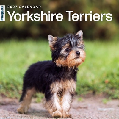 Yorkshire Terriers 2027 Wall Calendar