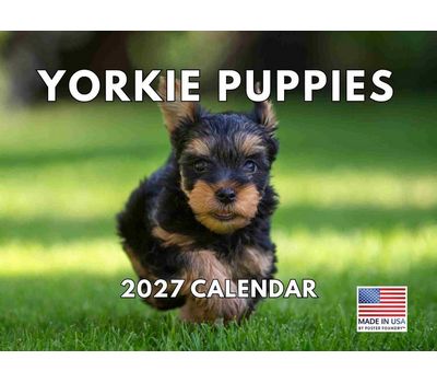 Yorkie Puppies 2027 Wall Calendar
