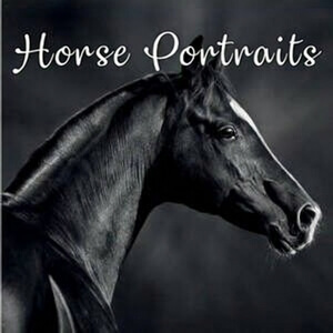 Horse Portrait Calendars