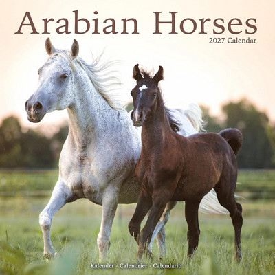 Arabians 2027 Wall Calendar