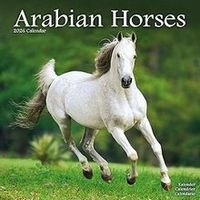 Arabians 2026 Wall Calendar