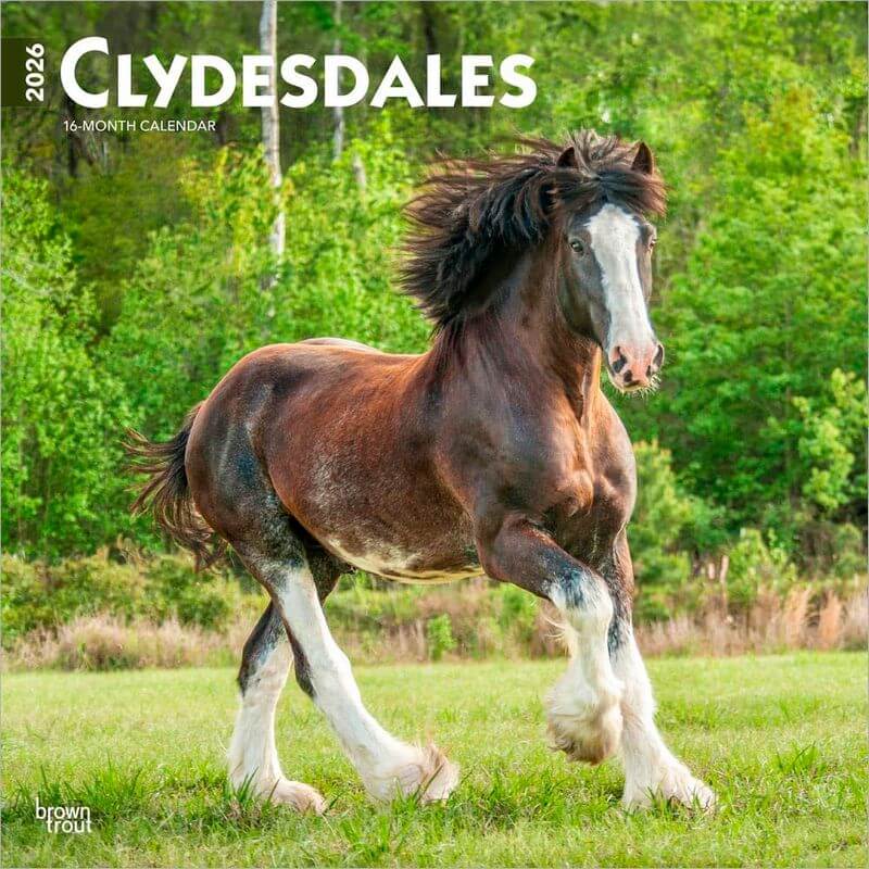 Clydesdales 2026 Wall Calendar