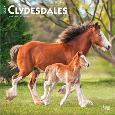 Clydesdales 2027 Wall Calendar