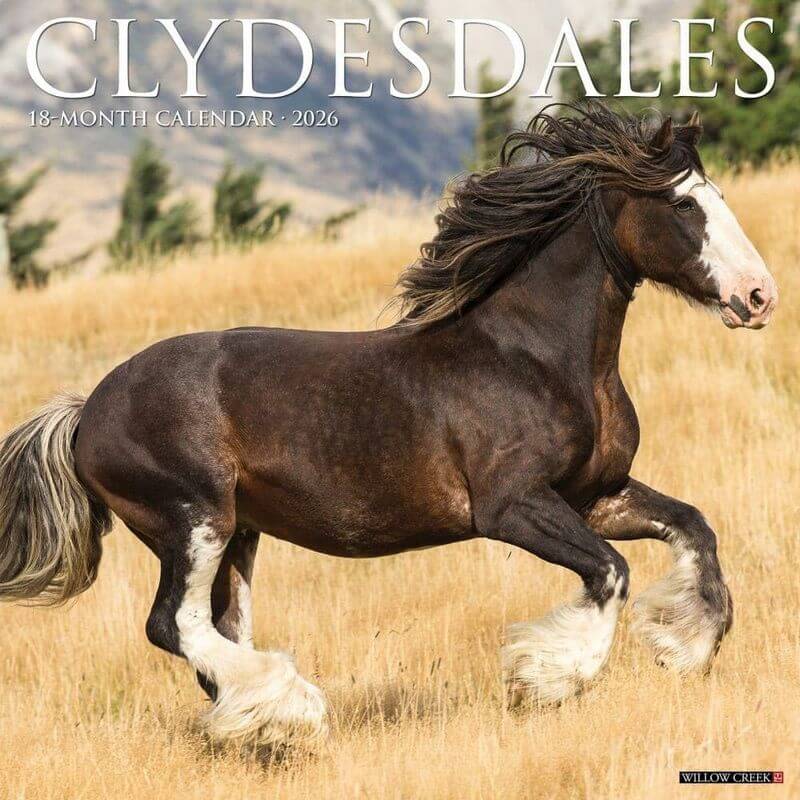 Clydesdales 2026 Calendar