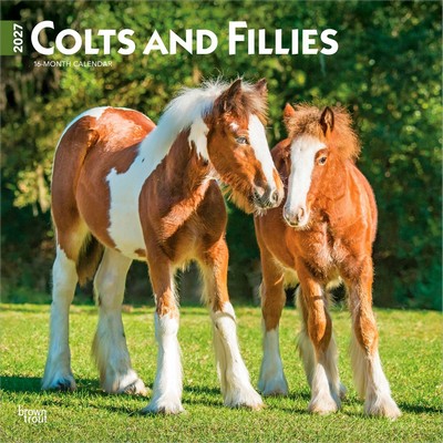 Colts And Fillies 2027 Calendar