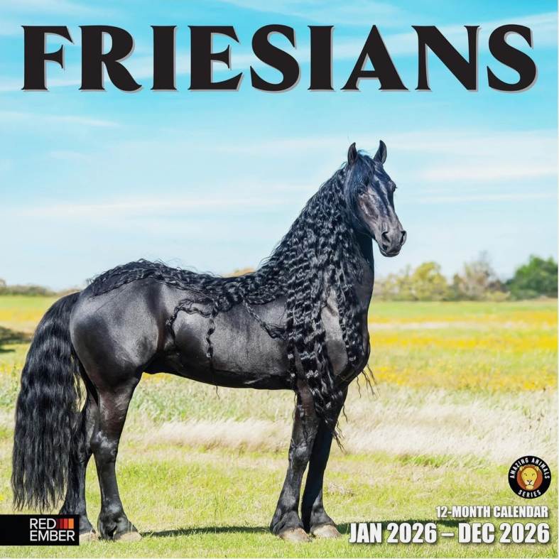 Friesians 2026 Calendar