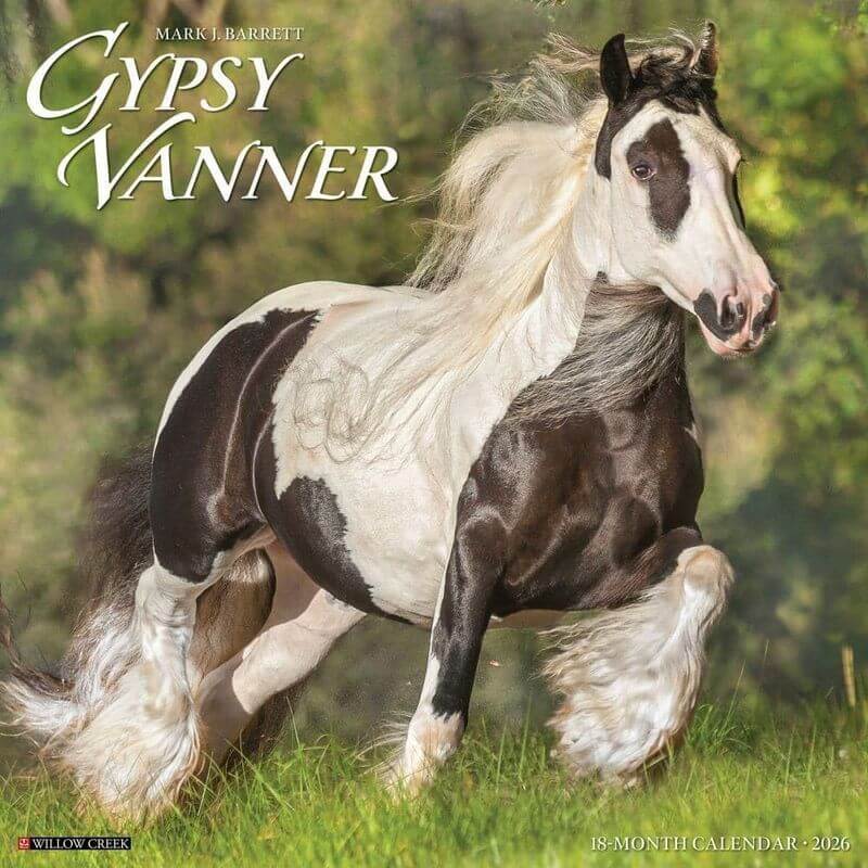 Gypsy Vanner Horses 2026 Calendar