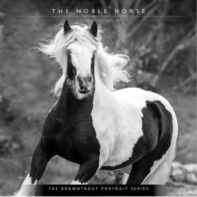 Horse Noble Portrait Series 2027 Wall Calendar