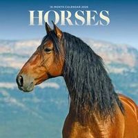 Horses 2026 Calendar