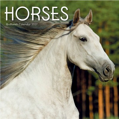 Horses 2027 Calendar