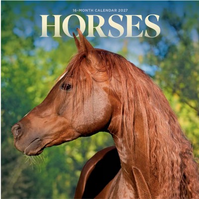 Horses 2027 Calendar