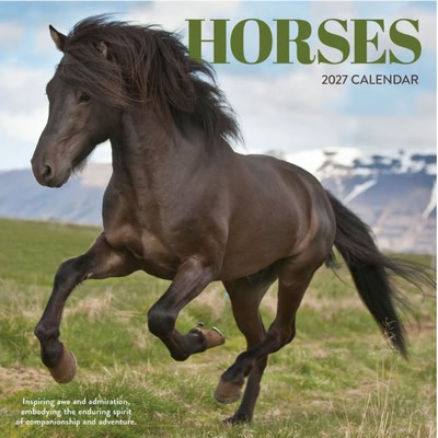 Horses 2027 Calendar