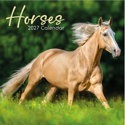 Horses 2027 Wall Calendar