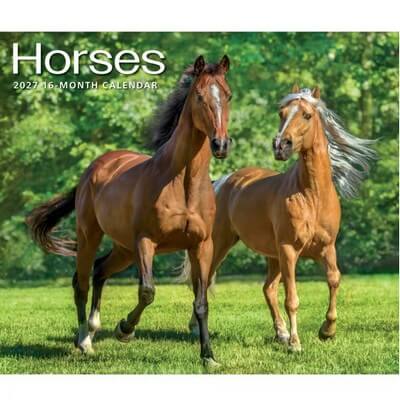 Horses 2027 Deluxe Wall Calendar