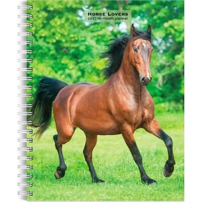 Horses 2027 Engagement Planner