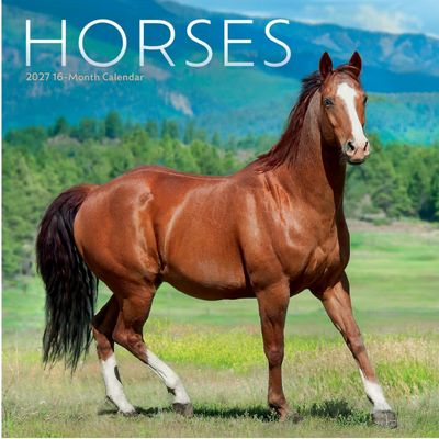 Horses 2027 Mini Wall Calendar