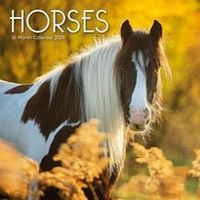 Horses 2026 Calendar