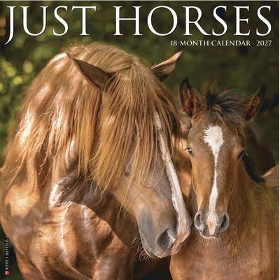 Just Horses 2027 Wall Calendar