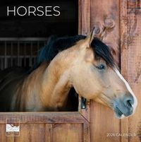 Horses 2026 Calendar