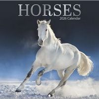 Horses 2026 Calendar