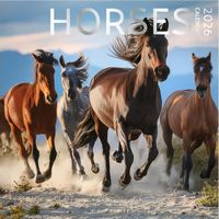 Horses 2026 Calendar