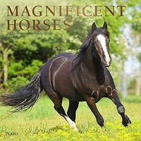 Magnificent Horses 2026 Wall Calendar