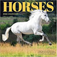 Horses 2026 Wall Calendar